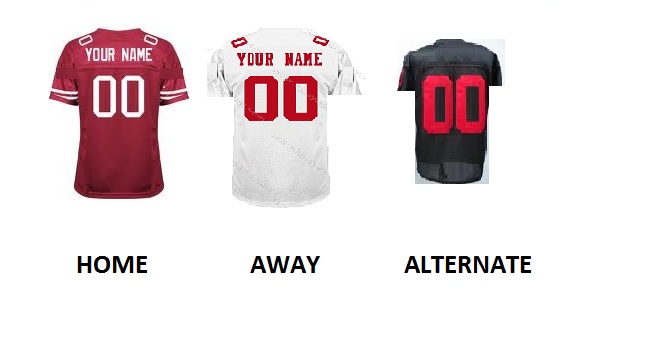 (image for) SAN FRANCISCO Pro Football Number Kit - Click Image to Close